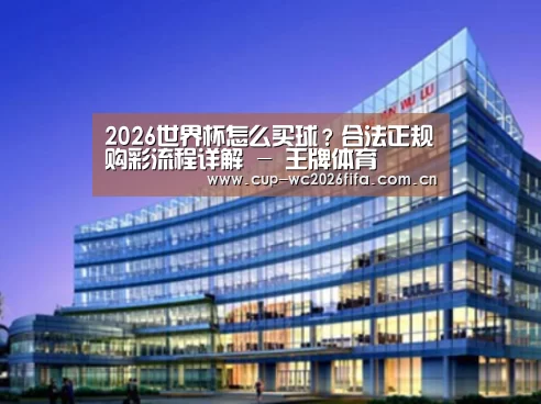 世界杯买球案例展示三
