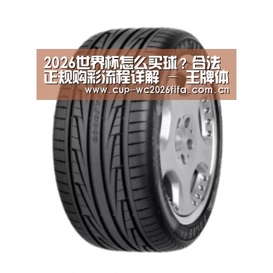 世界杯买球产品名称三