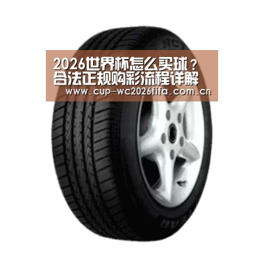 世界杯买球产品名称四